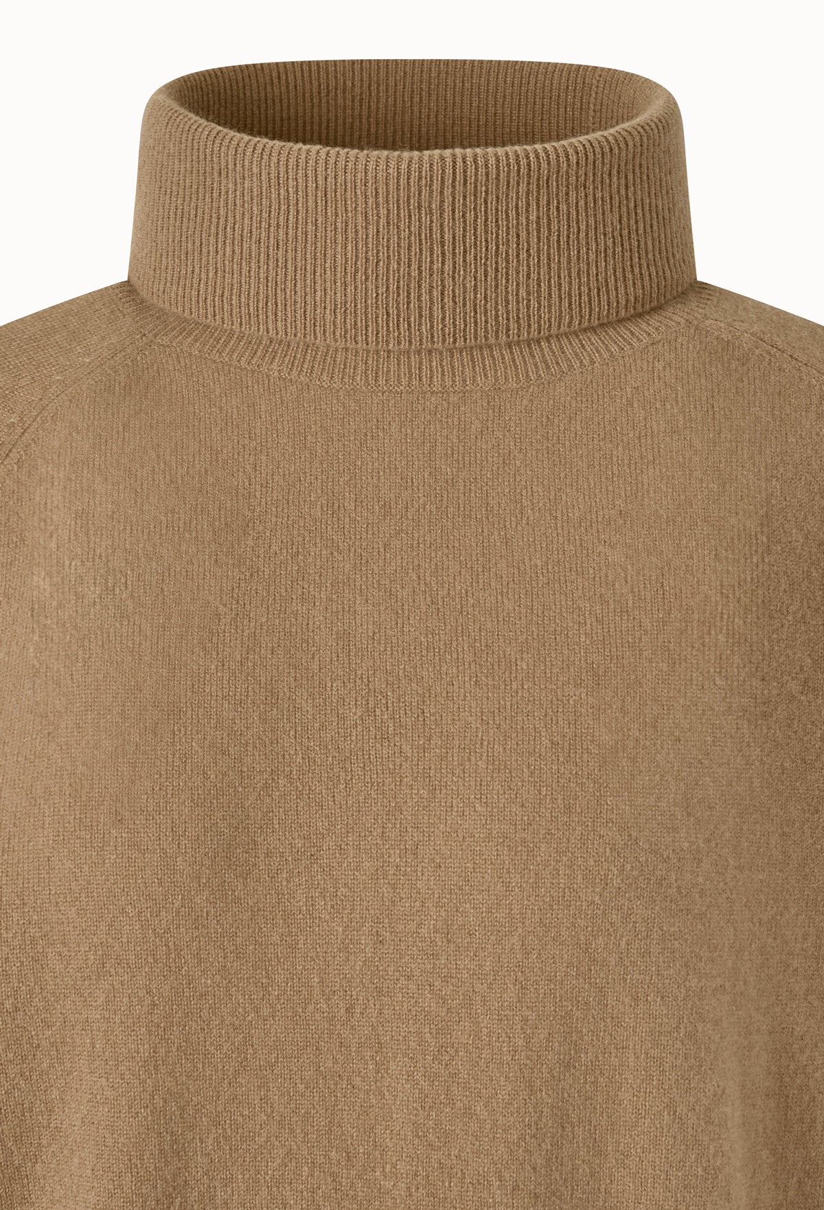 Cashmere 100 Raglan Turtleneck Sweater In Camel