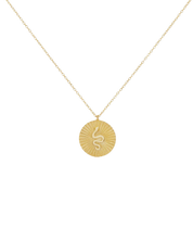 Snake Medallion Disk Necklace