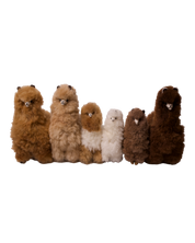 Alpaca Plush Toys