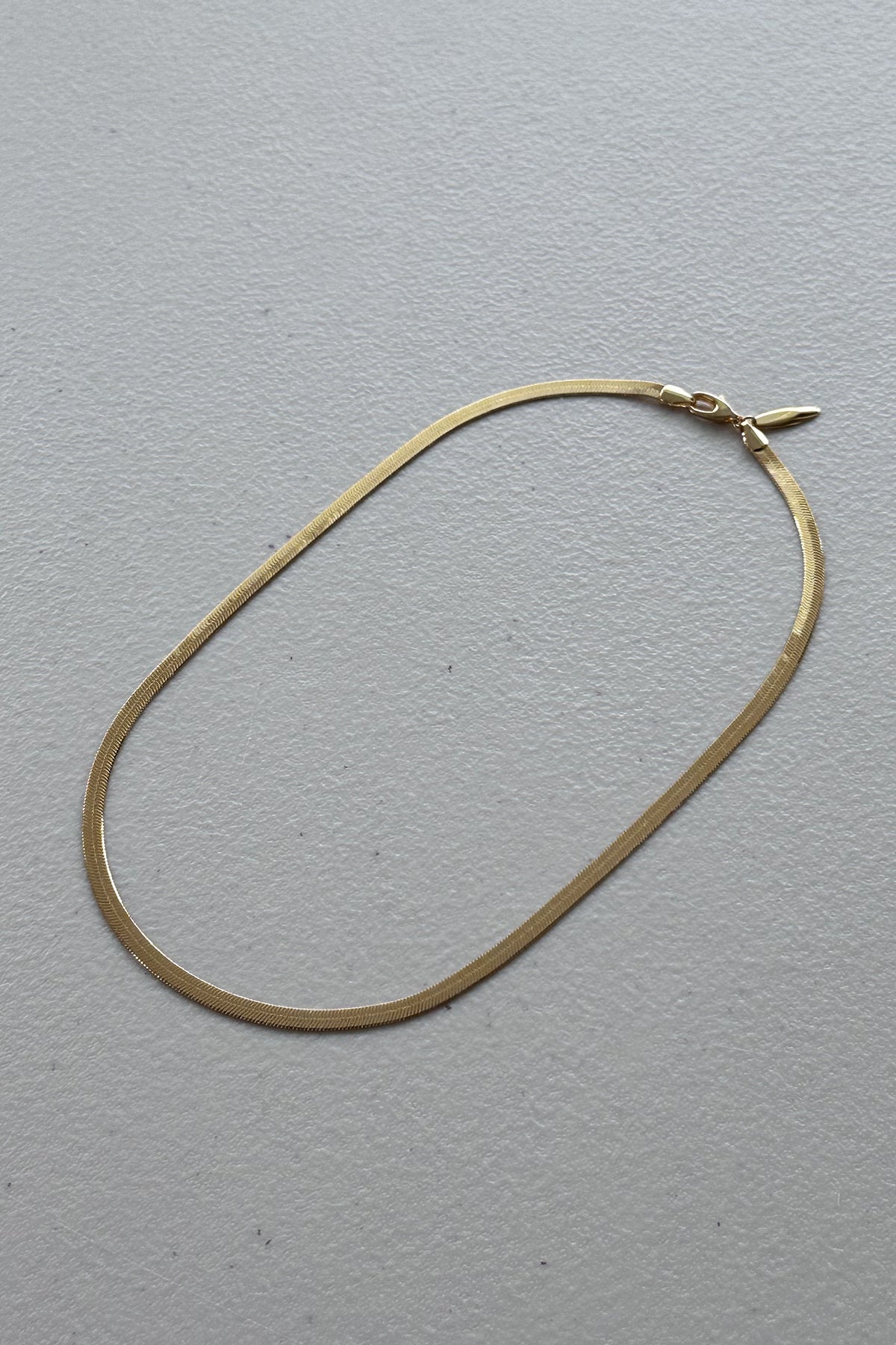 Golden Chain Necklace 1