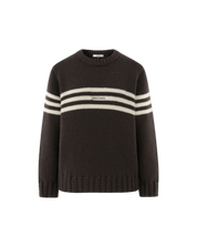 Dpwd Cable Rib Pullover In Brown