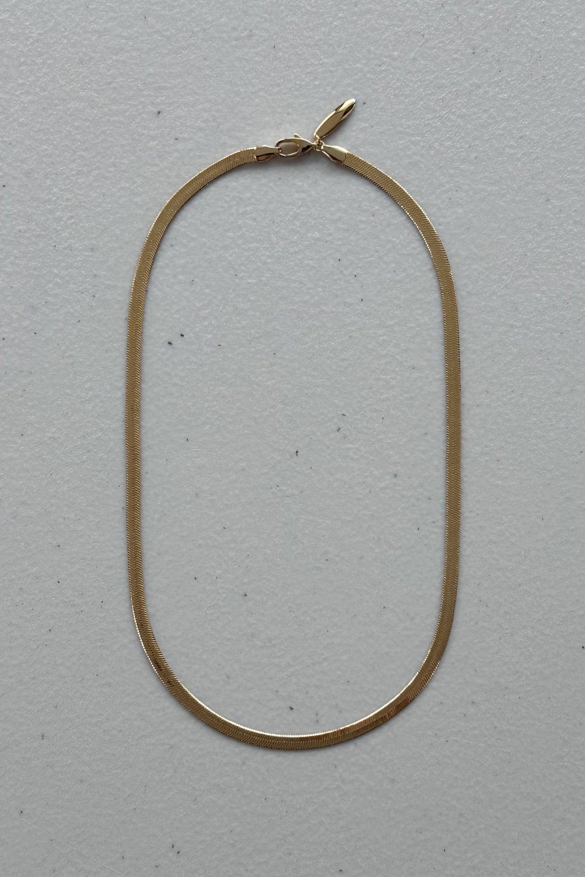 Golden Chain Necklace 1