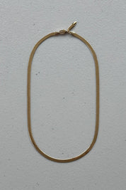 Golden Chain Necklace 1