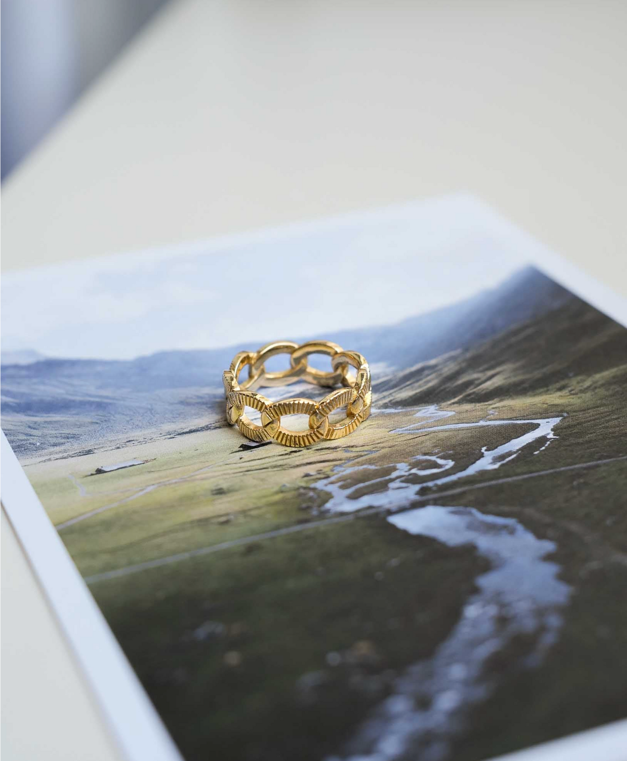 Oceane Textured Gold Chain Ring