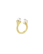 Lipara扭環