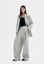 Wool 100 Pleated Trousers In Gray